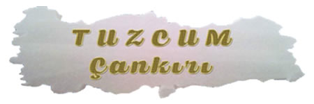 www.tuzcumcankiri.com